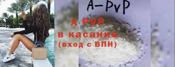 индика Гусиноозёрск