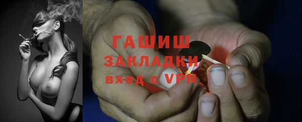 молекула духа Горнозаводск