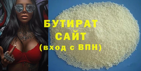 индика Гусиноозёрск
