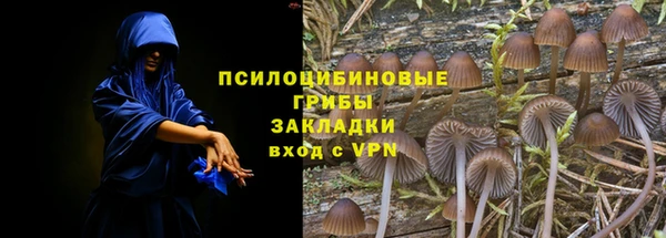 молекула духа Горнозаводск