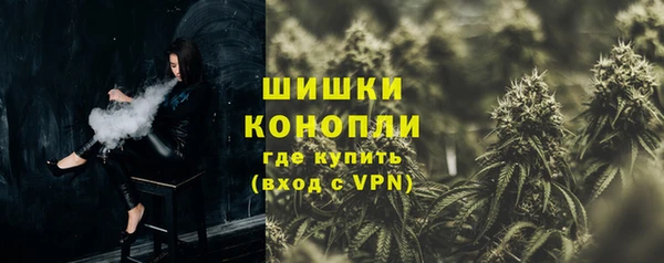 молекула духа Горнозаводск