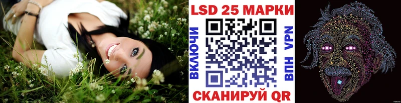 Купить закладки Петровск-Забайкальский Наркотические марки 1,8мг