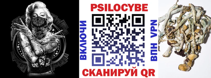 Купить где  Петровск-Забайкальский  Псилоцибиновые грибы прущие грибы 